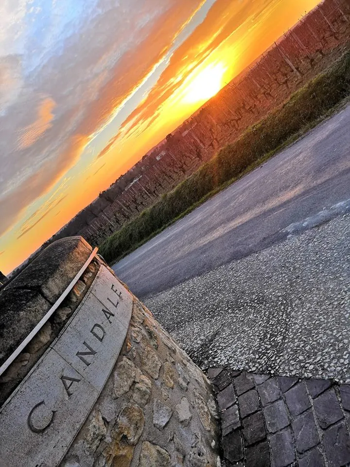 Sunset view of an engraved 'Candale' stone in Bordeaux, with a gravel path and forest in the background