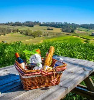 Wicker picnic basket with bread, cheese, and white wine bottle on a wooden table overlooking the green vineyards of Château La Croizille near Bordeaux.
