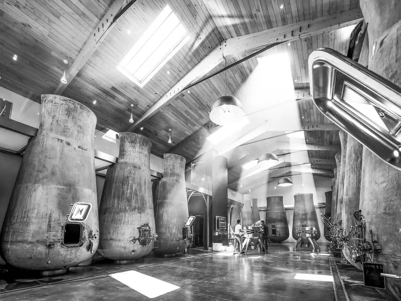 Interior of a wine cellar featuring large stainless steel fermentation tanks and concrete columns with natural lighting from skylights, Château Beauregard in Bordeaux