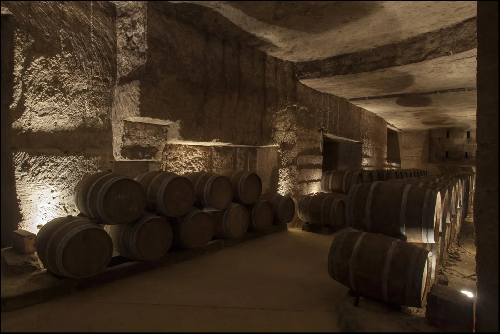 Underground cellar of Château de La Rivière in Bordeaux featuring wooden wine barrels arranged on stone floor, illuminated by spotlights