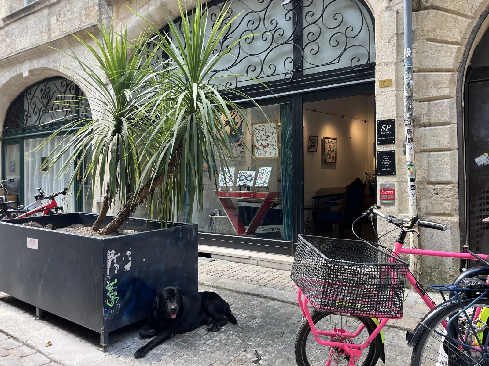 Storefront of SP Pour toi gallery in Bordeaux featuring a black dog resting by a plant planter, pink bicycles parked outside, and ornate wrought iron door panels