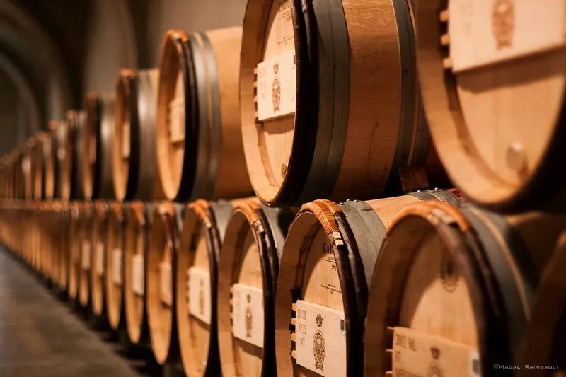 Rows of oak barrels stacked in the aging cellar of Château Gruaud Larose in Bordeaux, labeled and ready for wine maturation.