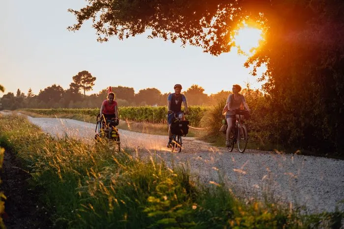 Three cyclists riding bikes on a dirt path at sunset in the Bordeaux vineyards, with fields and trees in the background.