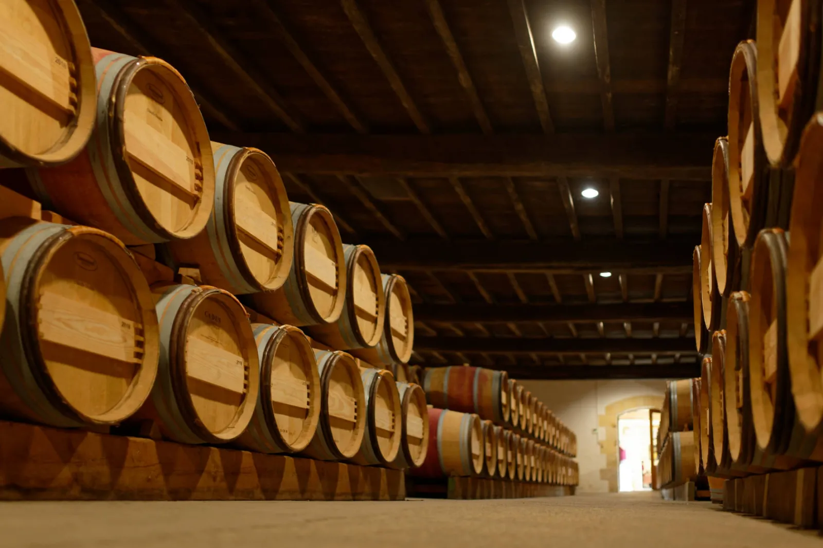 Rows of wooden barrels lined up in a winery cellar at Domaine de la Solitude in Bordeaux, illuminated by spotlights.