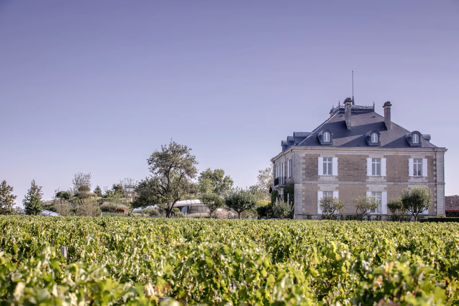 Haut-Bailly Estate, a grand 19th-century stone mansion with slate roof, surrounded by vineyards near Bordeaux