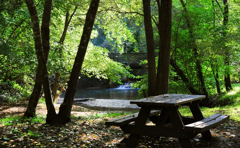 Wooden picnic table by a river surrounded by lush green trees, with a stone bridge visible in the background at Moulin Bidon site in Bordeaux.