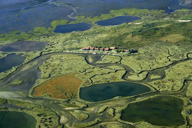 Aerial view of Île aux Oiseaux near Bordeaux, featuring traditional stilt houses surrounded by meandering rivers, lakes, and lush wetlands