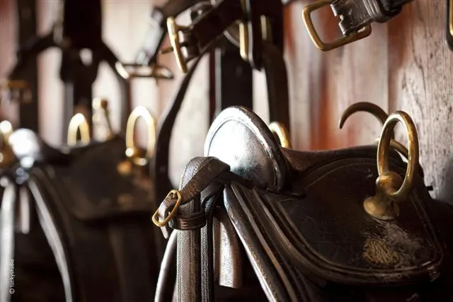 Display of medieval armor and knight's equipment at Château Lanessan in Bordeaux, featuring a close-up of a polished metal helmet and chainmail.