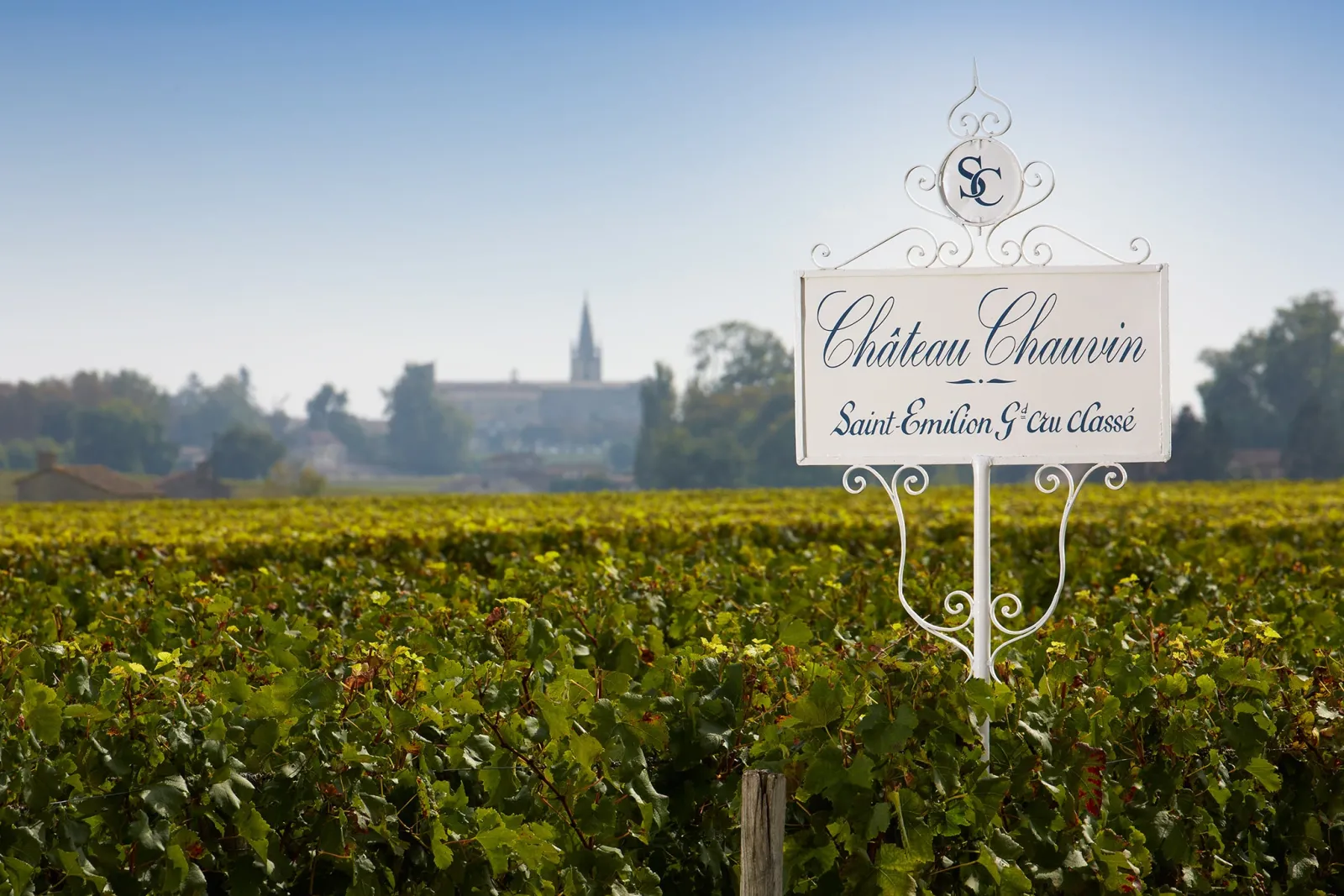 Ornamental sign for Château Chauvin, a Saint-Émilion Grand Cru wine estate, displayed in vineyard rows with the village church visible in the background