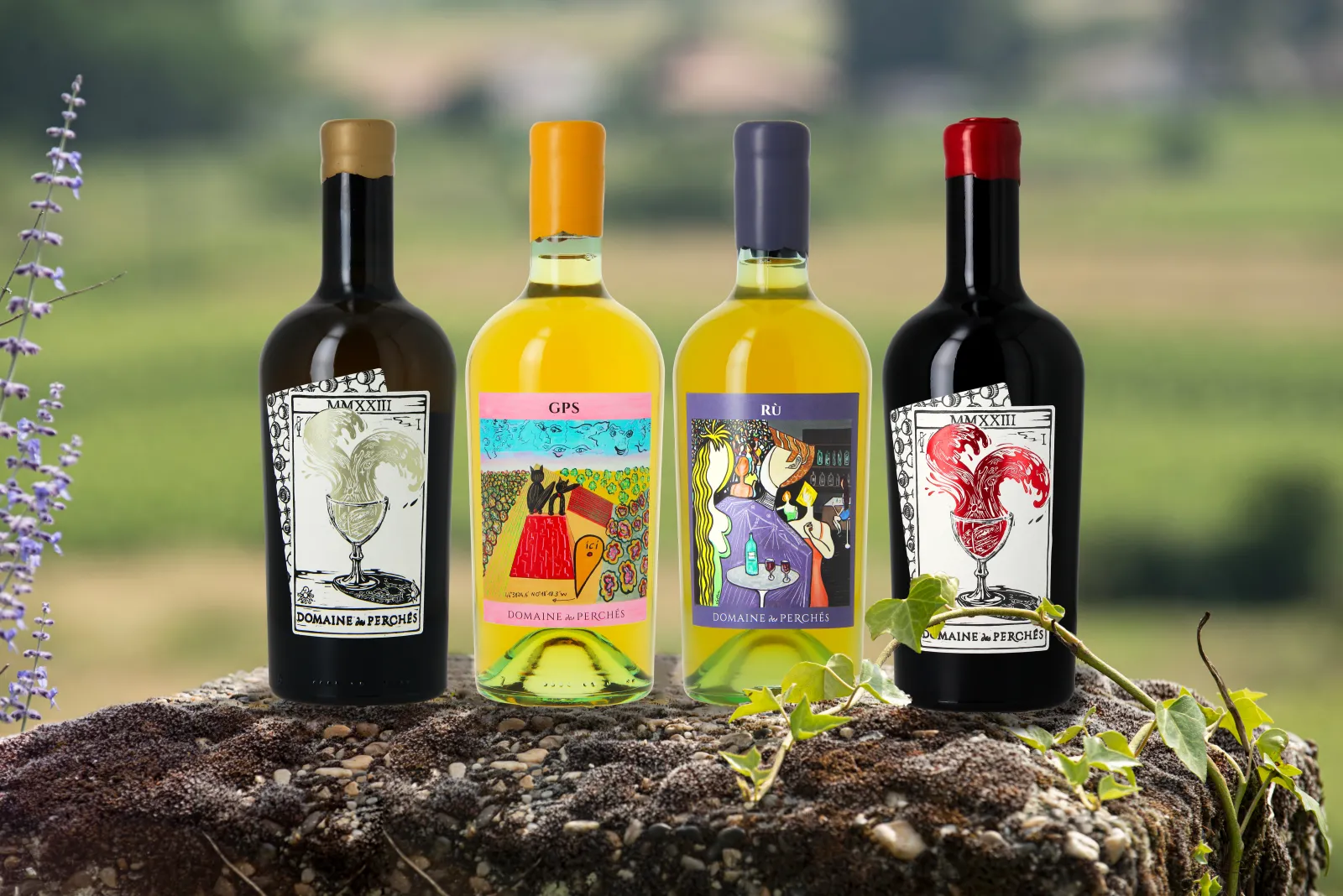 Four wine bottles from Domaine des Perchés arranged on a stone, with Bordeaux vineyard landscape in the background. Two red wines with gold and red caps, two white wines with orange and blue caps.
