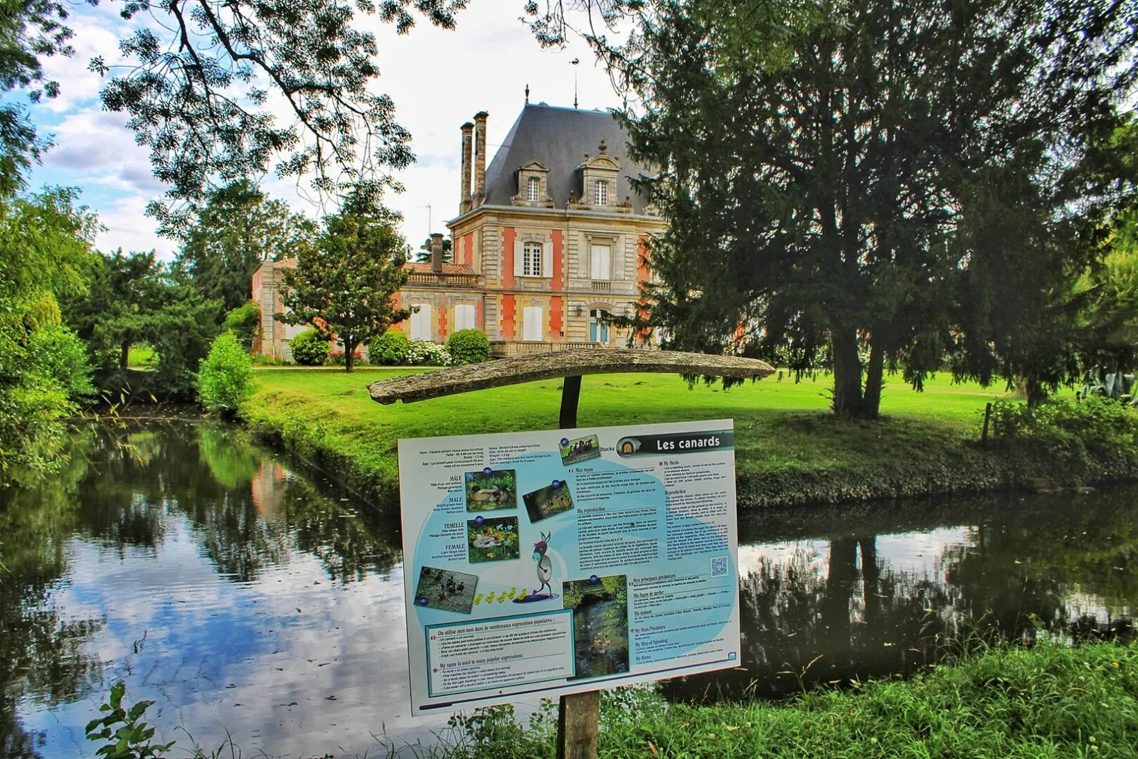 Informational sign about ducks beside a pond with Château Saint Ahon visible in the background, surrounded by lush greenery and trees.