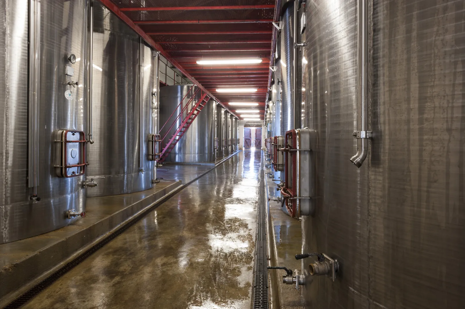Interior of a winery with stainless steel fermentation tanks lined on both sides of a wet corridor, fluorescent lighting and red metal framework overhead.