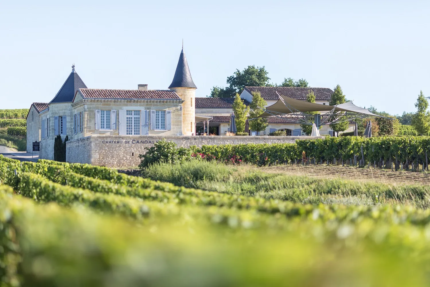Château de Candale in Bordeaux, an elegant white building with pointed turrets overlooking terraced vineyards under clear skies.