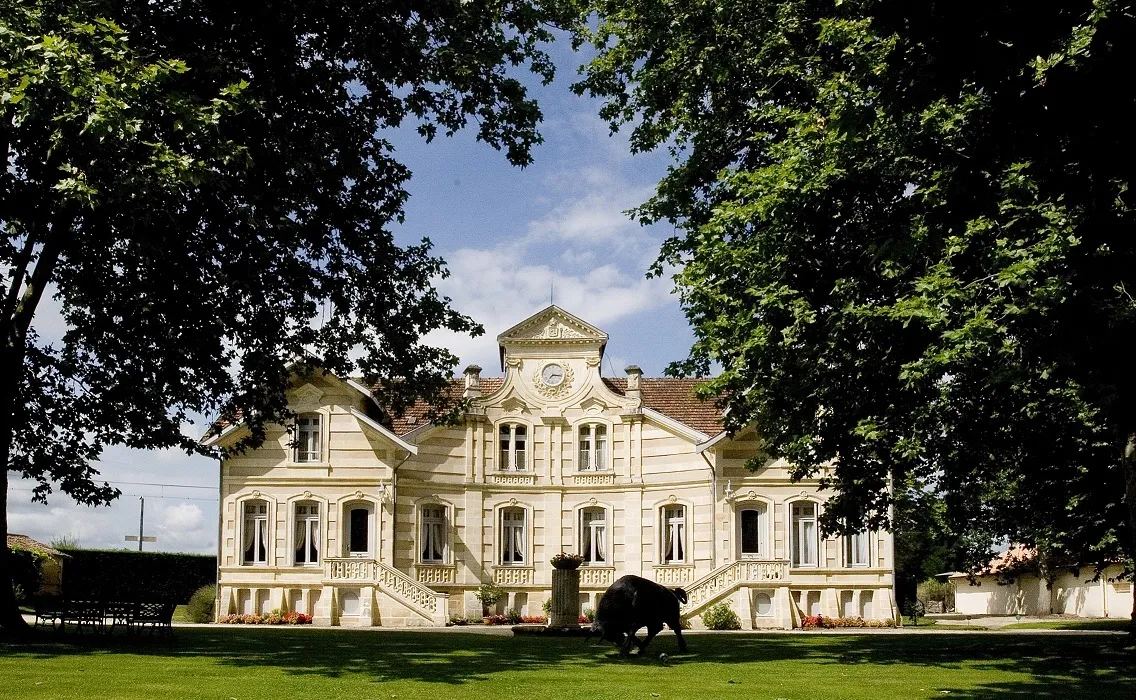 Front view of Château Maucaillou, a historic Belle Époque-style building with white façades and balusters, surrounded by lush trees and a manicured lawn. A black horse grazes in the park.