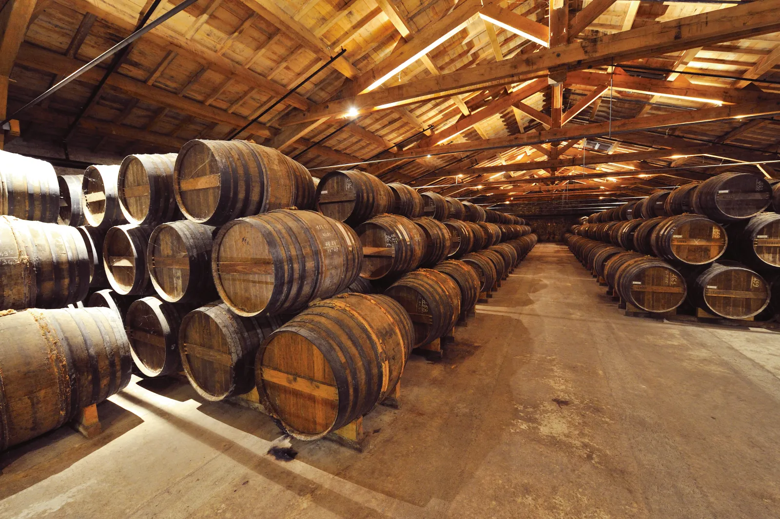 Interior of an aging cellar with rows of wooden oak barrels stacked in a timber-framed warehouse, Rémy Martin House, Bordeaux