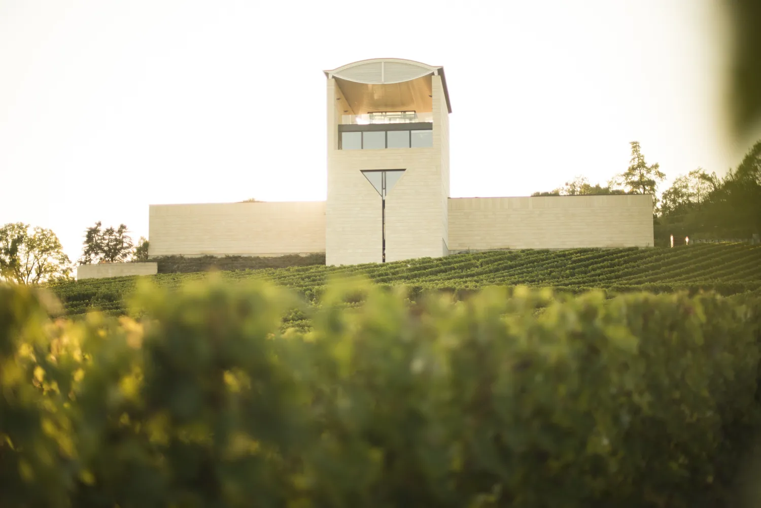 Château Faugères in Bordeaux, modern white stone building with central tower overlooking organized vineyard rows