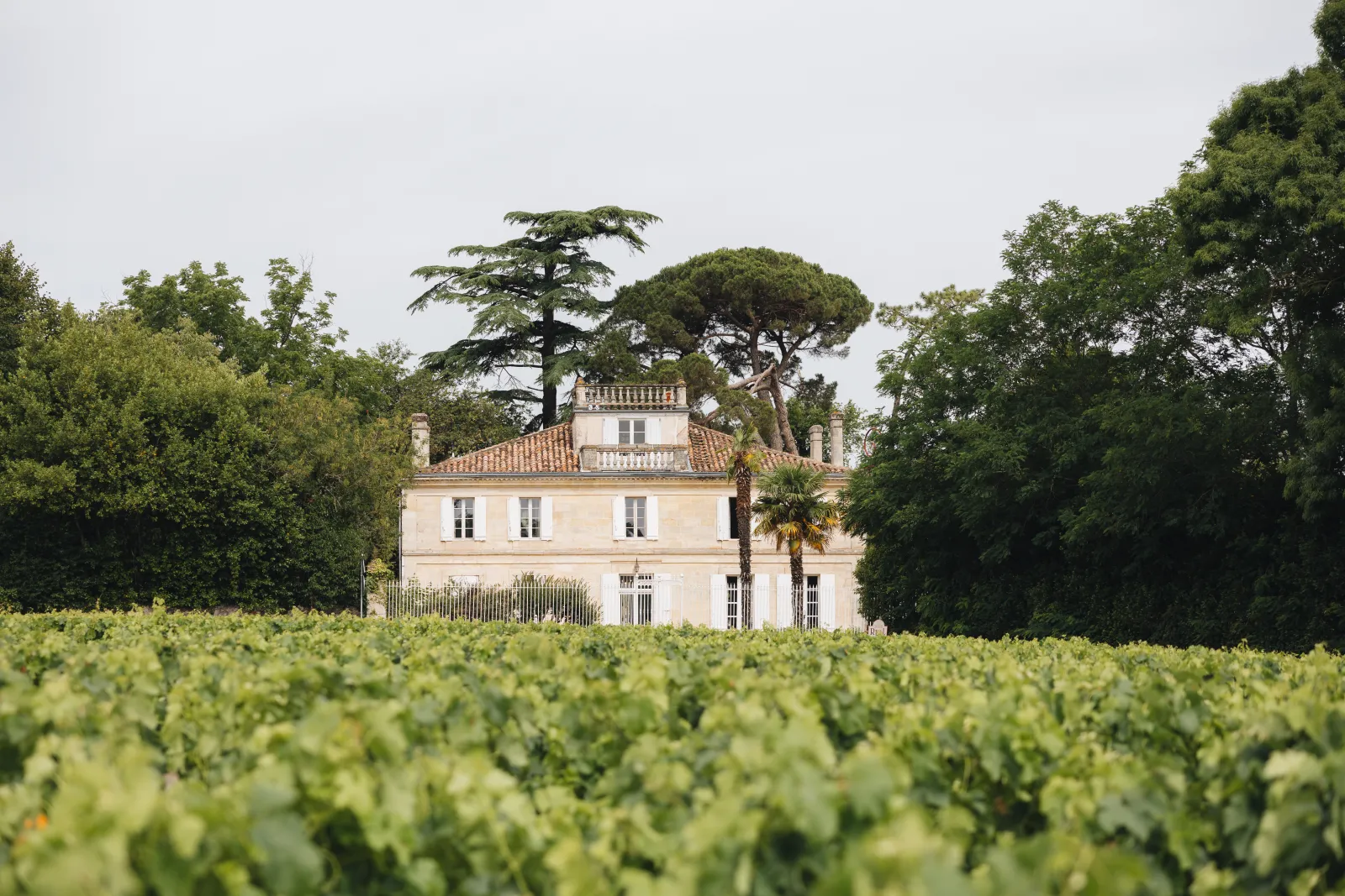 Château Réal in Bordeaux, an elegant 18th-century cream-colored mansion surrounded by vineyards with majestic trees in the background