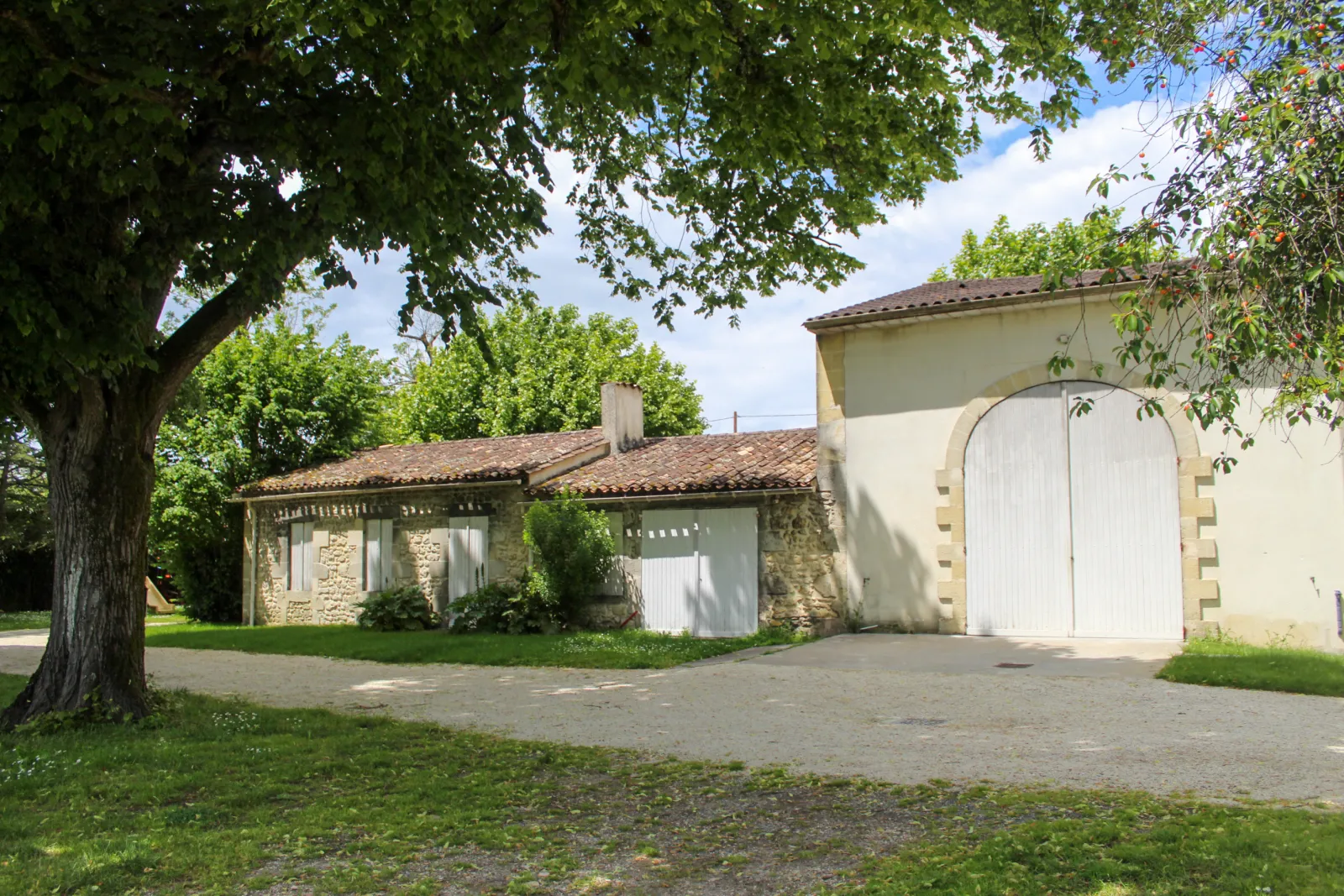 Château d'Osmond in Bordeaux: stone-built mansion with tiled roof, white doors, surrounded by lush greenery and a large mature tree