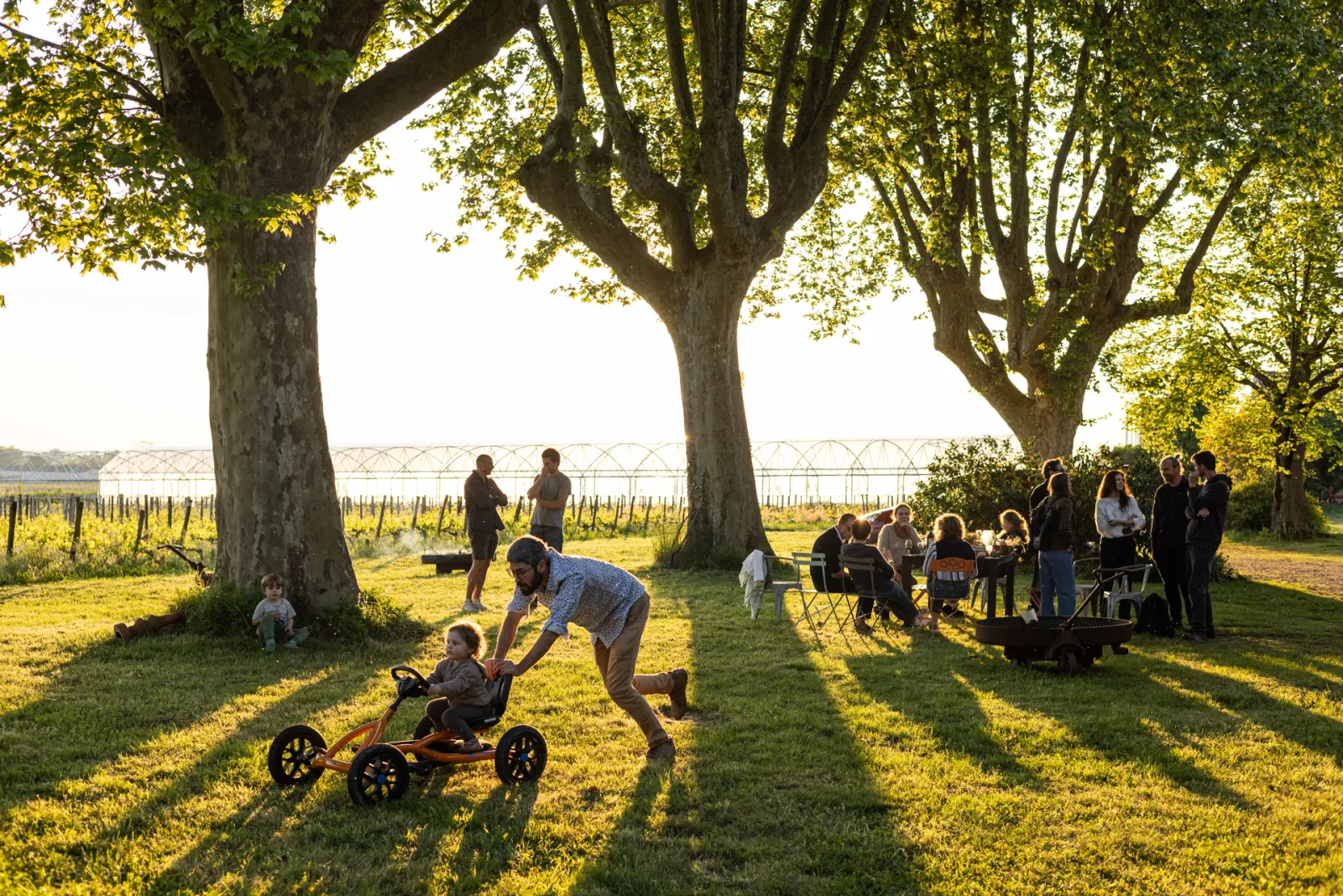 A family enjoys a sunny day under large heritage trees in the Bordeaux vineyards, with children on tricycles and adults gathered around picnic tables.