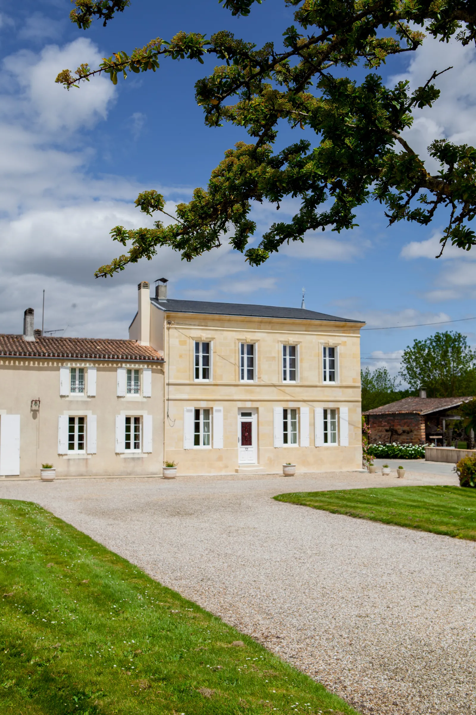 Cap Léon Veyrin estate near Bordeaux, a refined stone house with pale yellow facade, regular windows, gravel driveway, green lawn and oak branch in the foreground