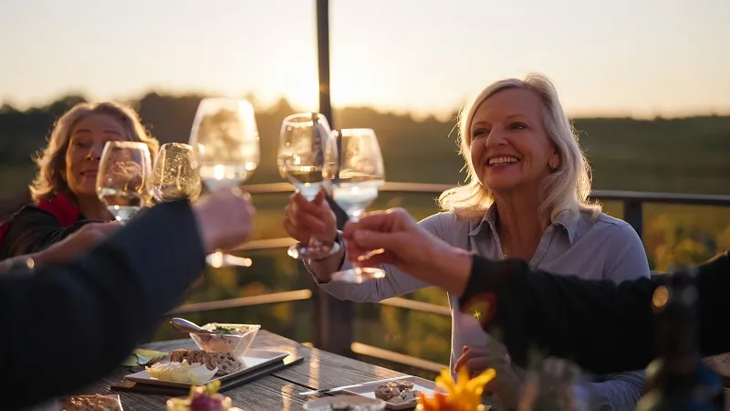 A group of people toasting with white wine glasses during a sunset dinner on a terrace, with vineyards in the background.