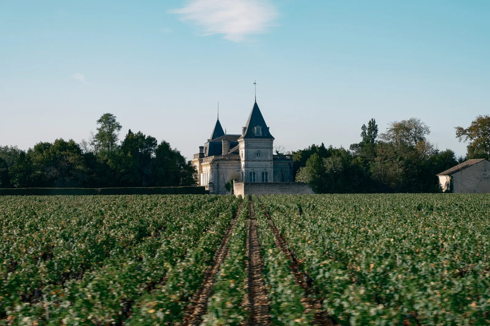 Château Tronquoy in Bordeaux: a castle with two pointed turrets with dark blue roofs, surrounded by vineyards and trees under a clear sky.