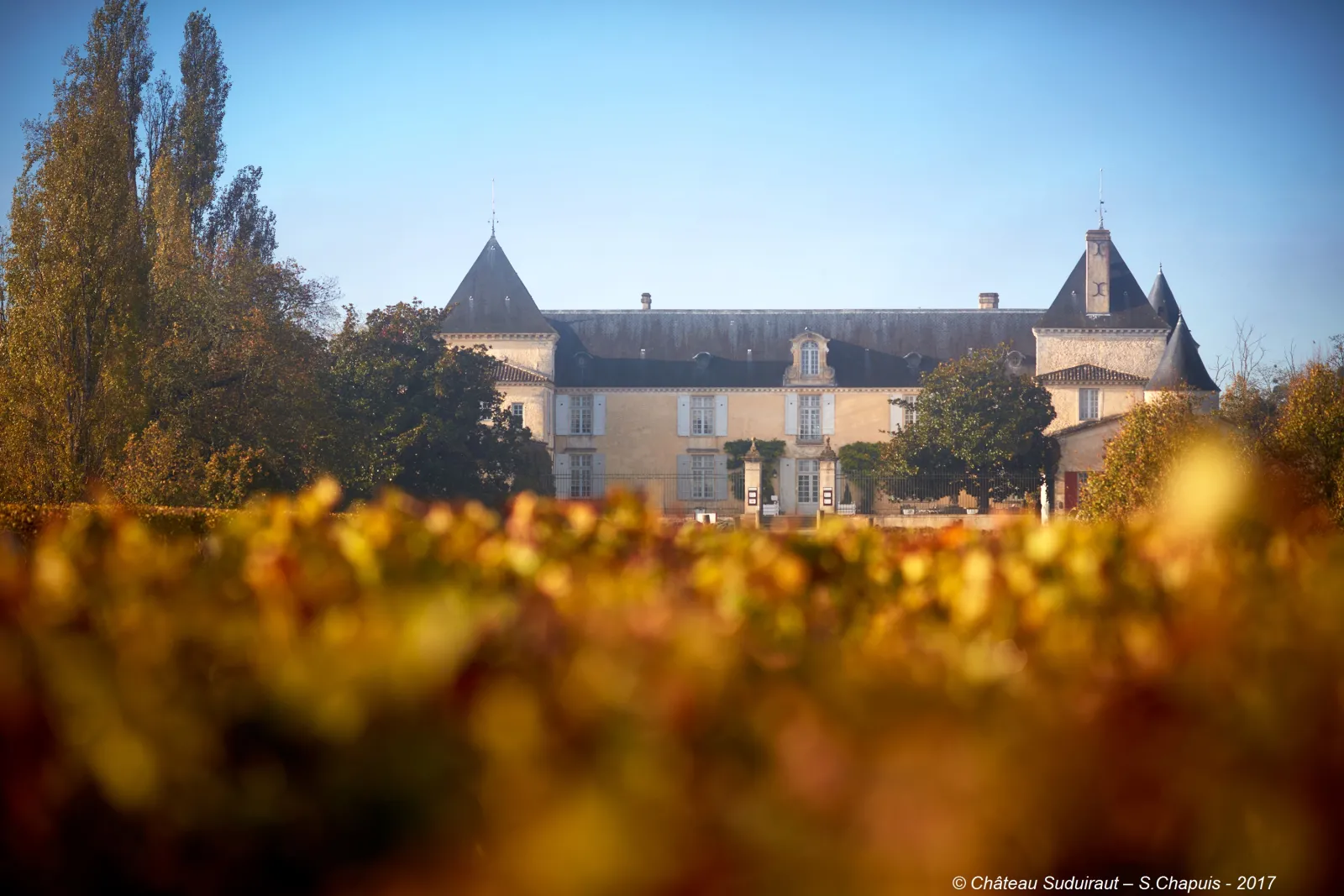 Château Suduiraut in Bordeaux, viewed from the vineyards in autumn, featuring pointed towers and light stone façade against a clear blue sky.