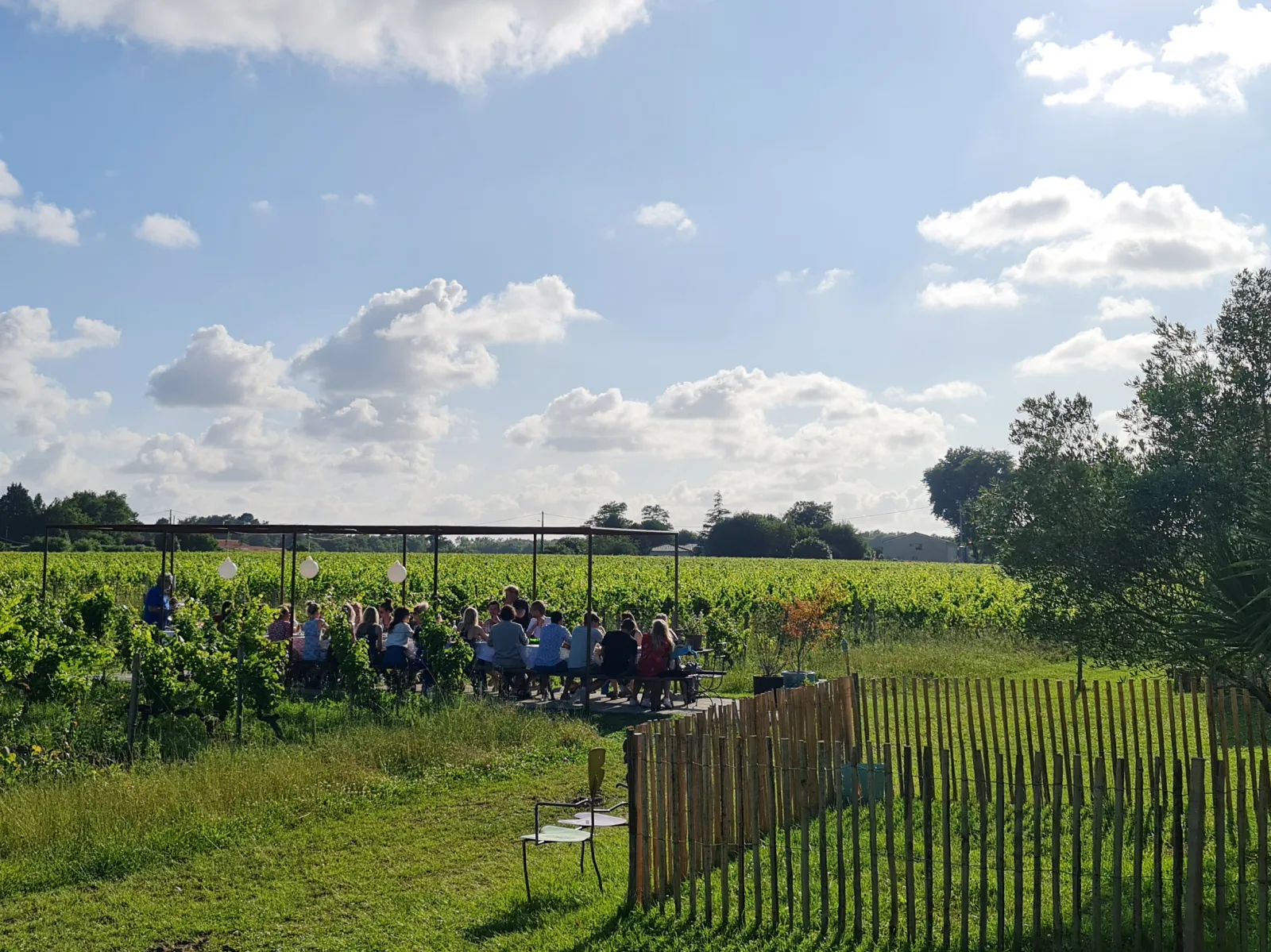 Group of people gathered under a tent in the vineyards of Château Hourtin-Ducasse near Bordeaux, surrounded by green vineyard rows and a partly cloudy sky.