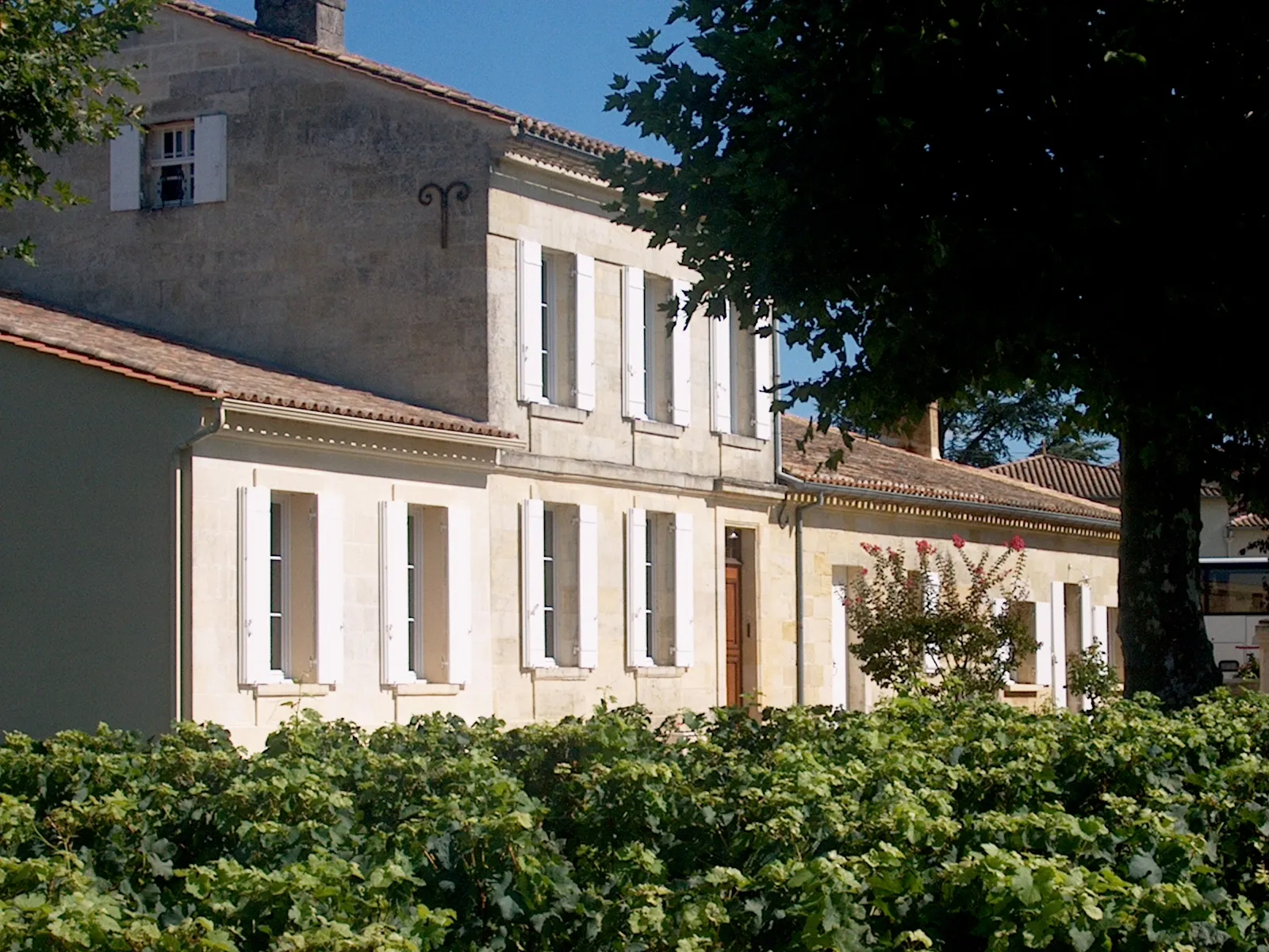 Front facade of Château Laniote in Bordeaux, white manor house with four tall windows, surrounded by vineyard foliage and greenery, classic Bordeaux architecture