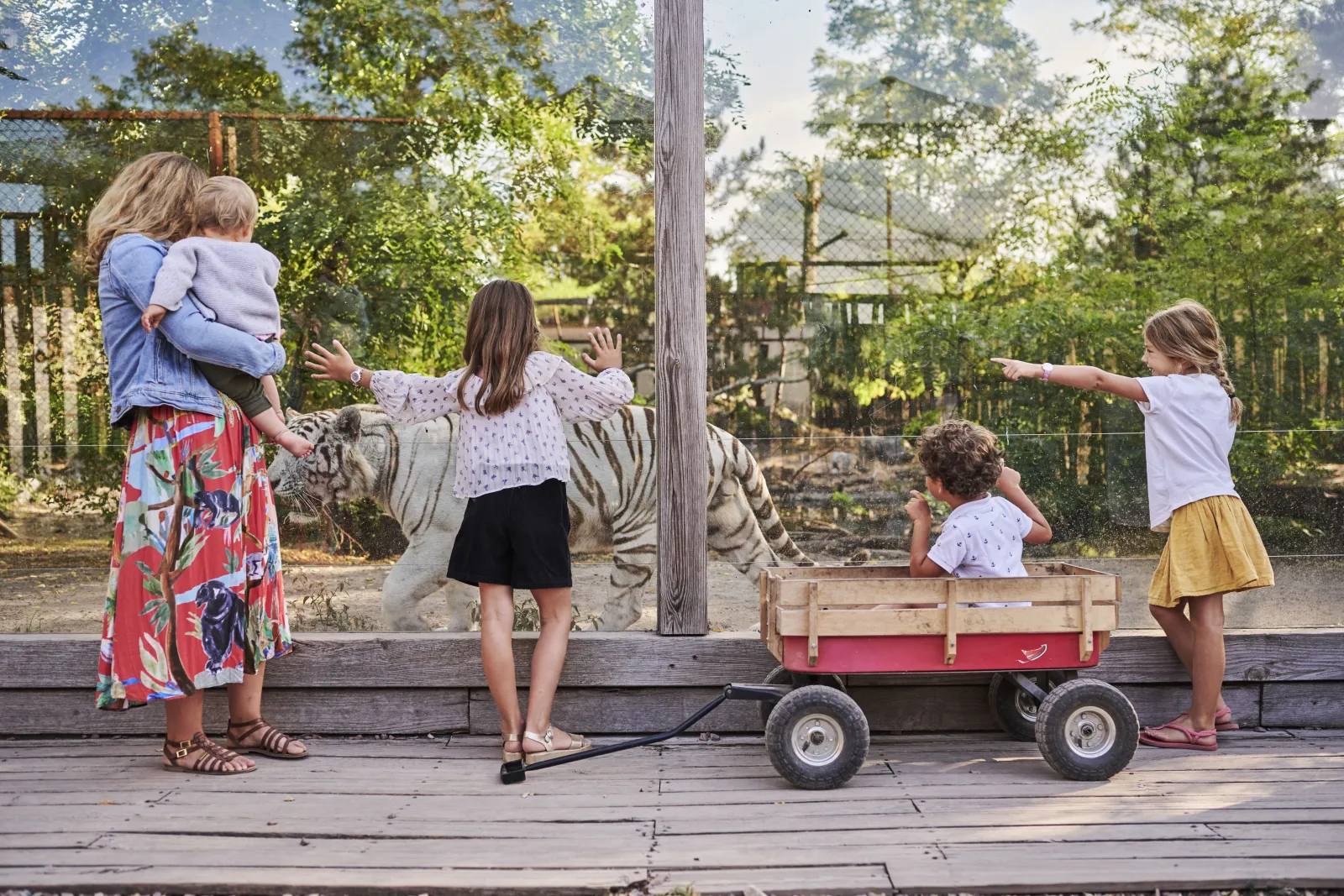 Children playing near a tiger enclosure at Bordeaux-Pessac Zoo, with one child holding a toddler while others watch the animals through the fence.