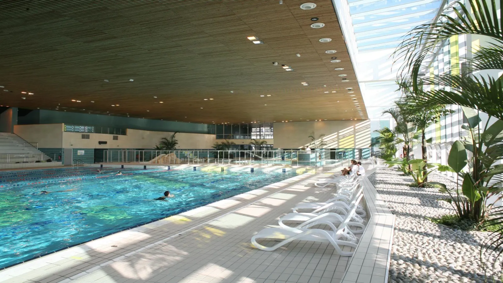 Modern indoor swimming pool at Grand Parc in Bordeaux featuring an Olympic-size basin, white lounge chairs, tropical plants, and large skylights.