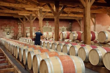 Barrel cellar at Château Citran in Bordeaux featuring rows of oak wine barrels stored under wooden beamed roof structure, with a winemaker inspecting the casks.