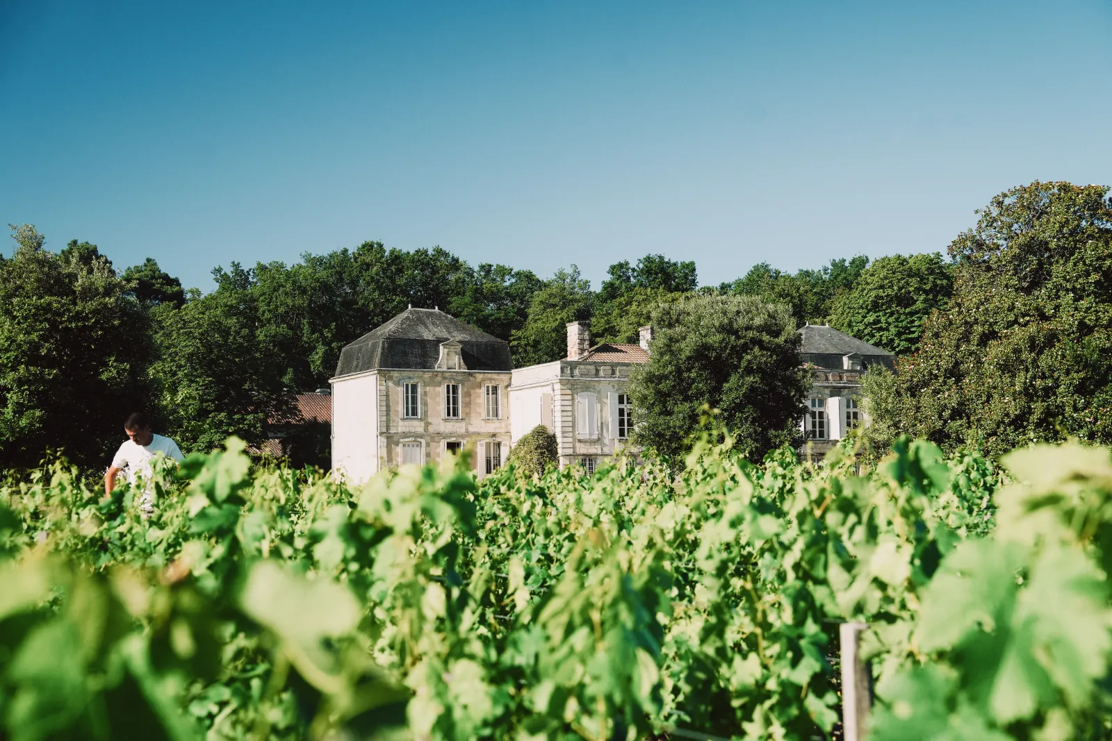 Château Pichon Longueville Comtesse de Lalande estate viewed from the vineyards, featuring distinctive towers and classical Bordeaux architecture
