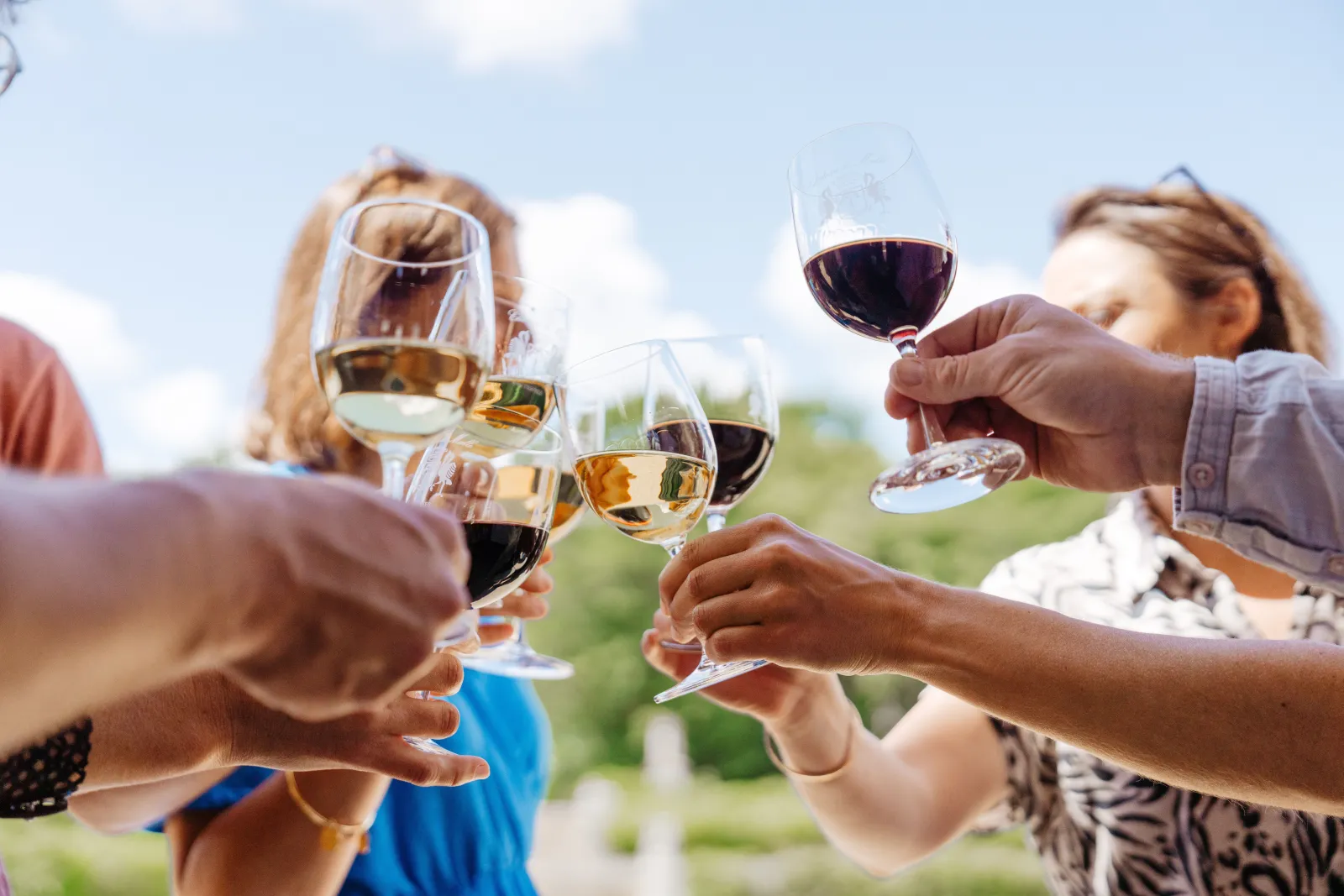 A group of people raises glasses of red and white wine during an outdoor celebration, with a vineyard in the background.