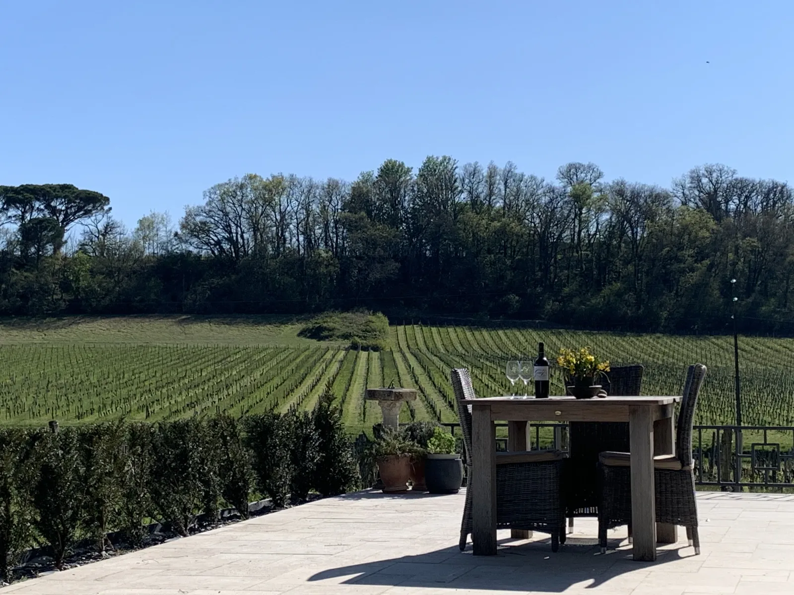 Outdoor dining area overlooking neat rows of vineyards with tree-lined horizon on a clear day
