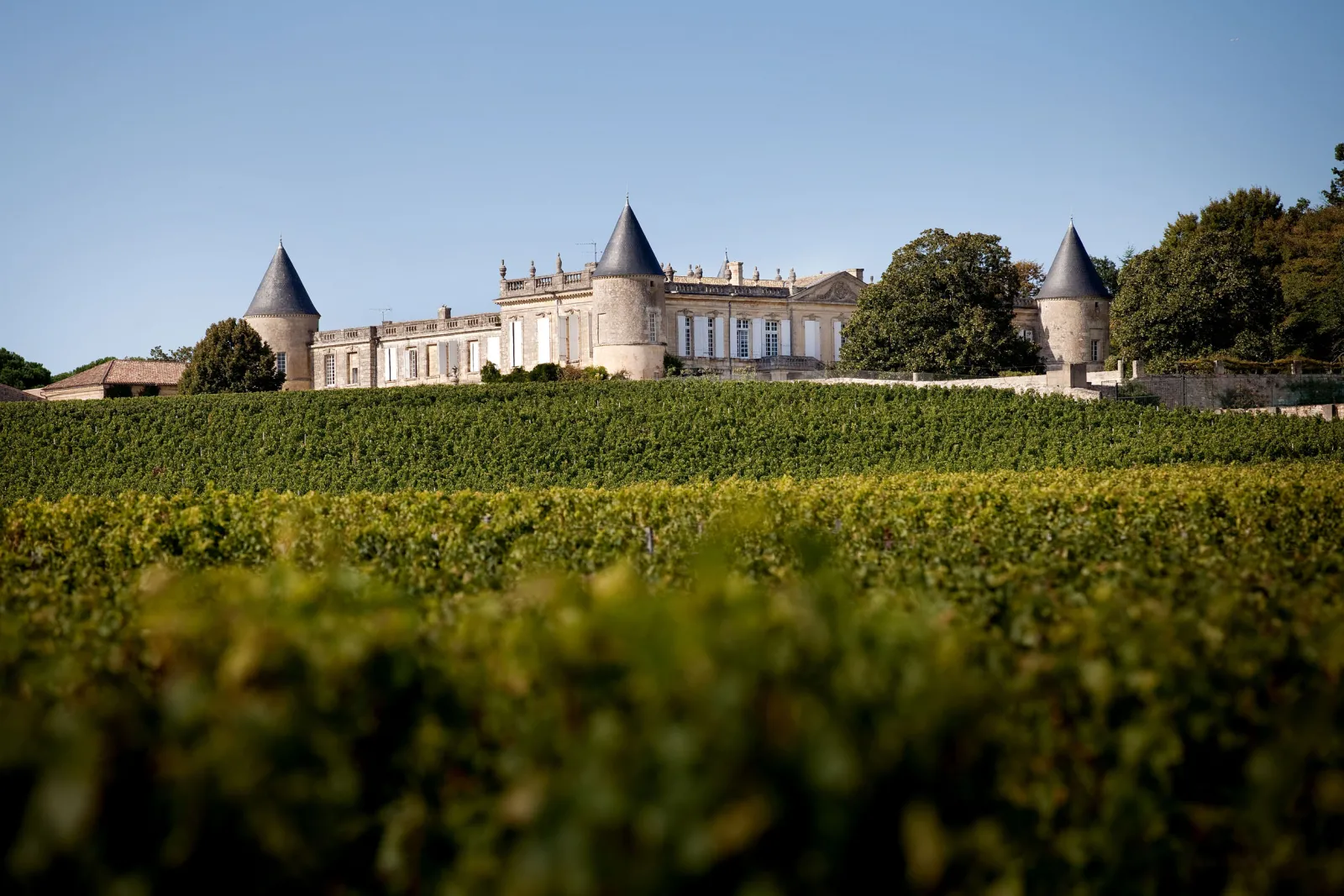 Château Saint-Georges in Bordeaux, a classical château with conical towers surrounded by vineyards, photographed under a clear blue sky.
