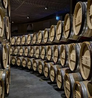 Wooden oak barrels stacked in rows inside a aging cellar in Bordeaux, each barrel marked with tracking labels.