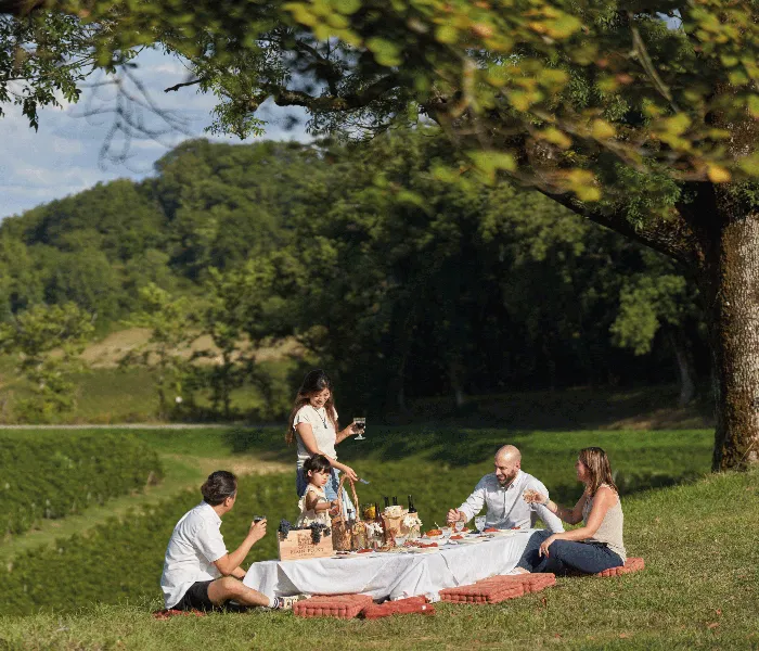 Four people enjoying a picnic on green grass under a large tree, with forested hills in the background at Château Plain Point near Bordeaux.