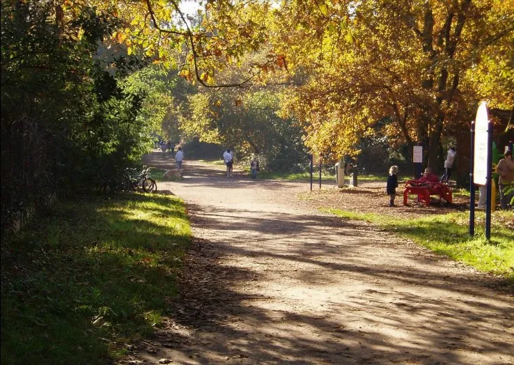 Shaded tree-lined path in the Bois du Burck in Bordeaux with golden autumn foliage, a few visitors, and a red bench visible on the right.