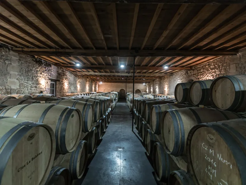 Wine aging cellar with rows of oak barrels in a historic stone building with exposed wooden beams, lit by spotlights.