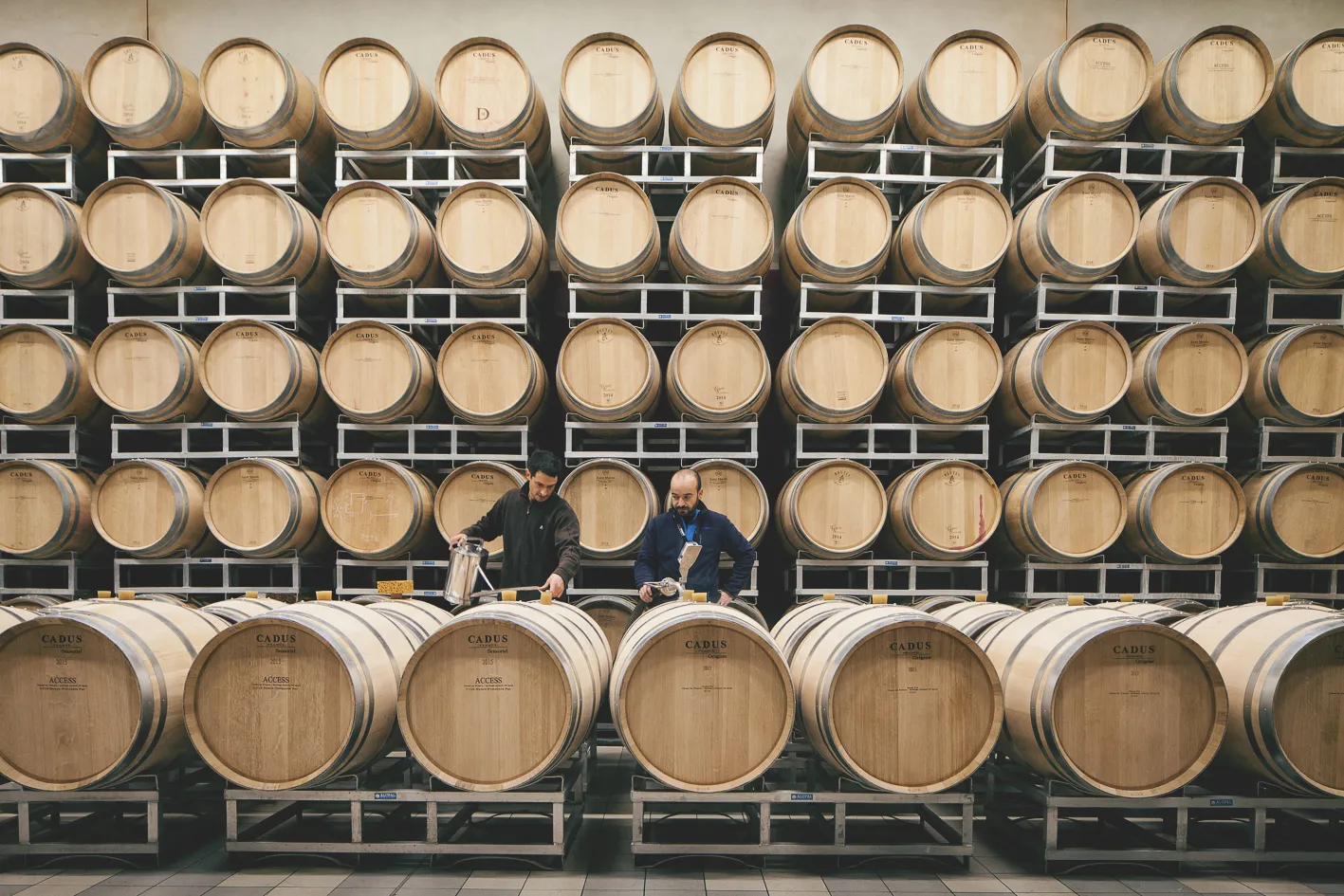 Two winemakers inspect wooden barrels in a Bordeaux winery cellar with stacked oak barrels marked CADUS arranged on multiple levels.