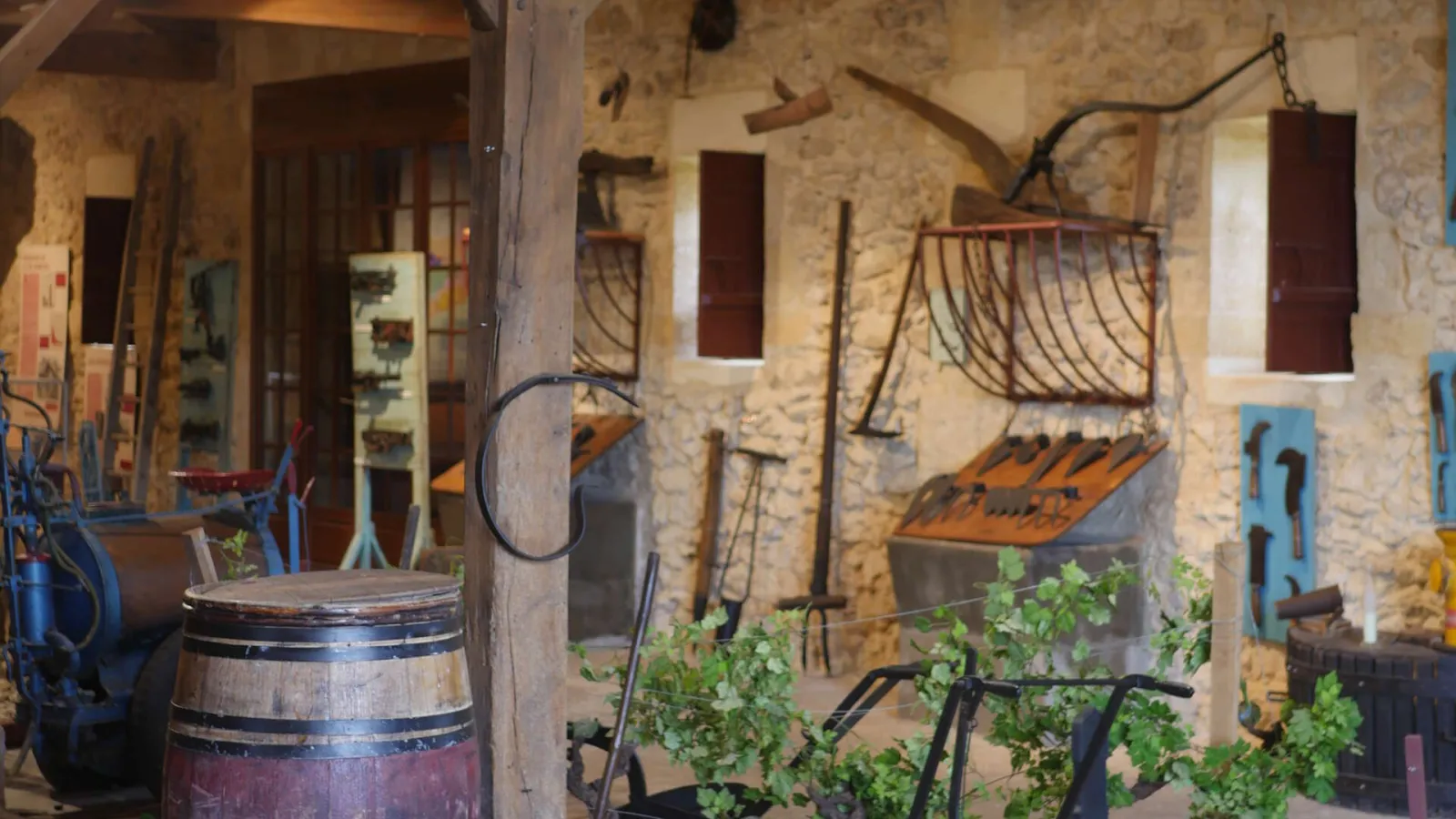 Interior courtyard of a wine museum displaying traditional harvest tools, wooden barrels, rakes and baskets hanging on stone walls, with green grapevine plants in the foreground.