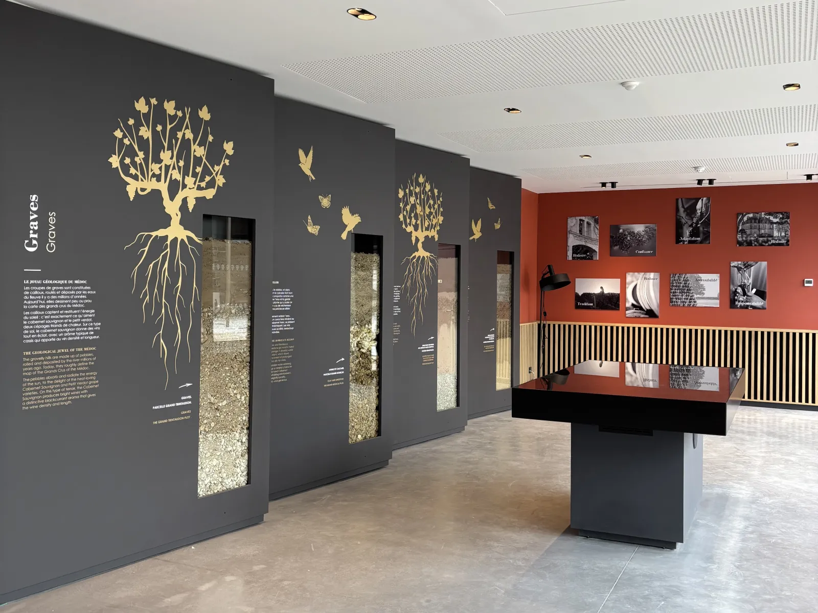 Museum exhibition at Château Larose-Trintaudon in Bordeaux featuring gray panels with golden vine and root illustrations, display cases with soil samples, and a red wall with photographs.