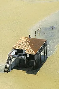 Traditional wooden cabin with tiled roof standing in shallow waters of Arcachon Basin, with oyster park stakes visible in the background