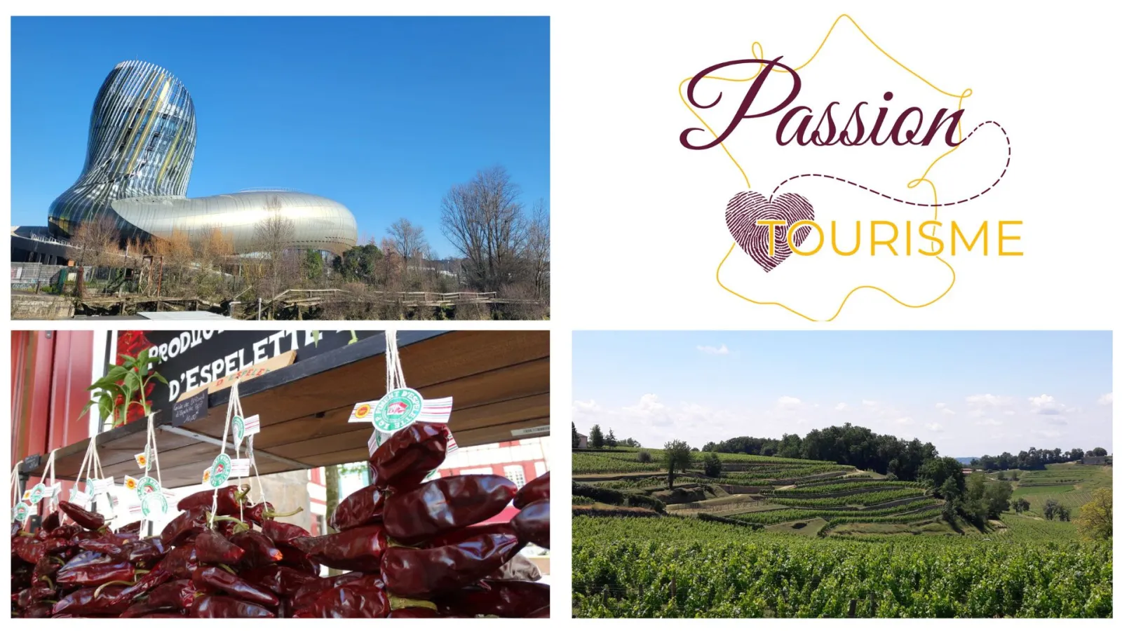 Collage showcasing Bordeaux tourist attractions: the modern glass architecture of Cité du Vin, local market products, vineyards of the Bordeaux wine region, and the Passion Tourisme logo.