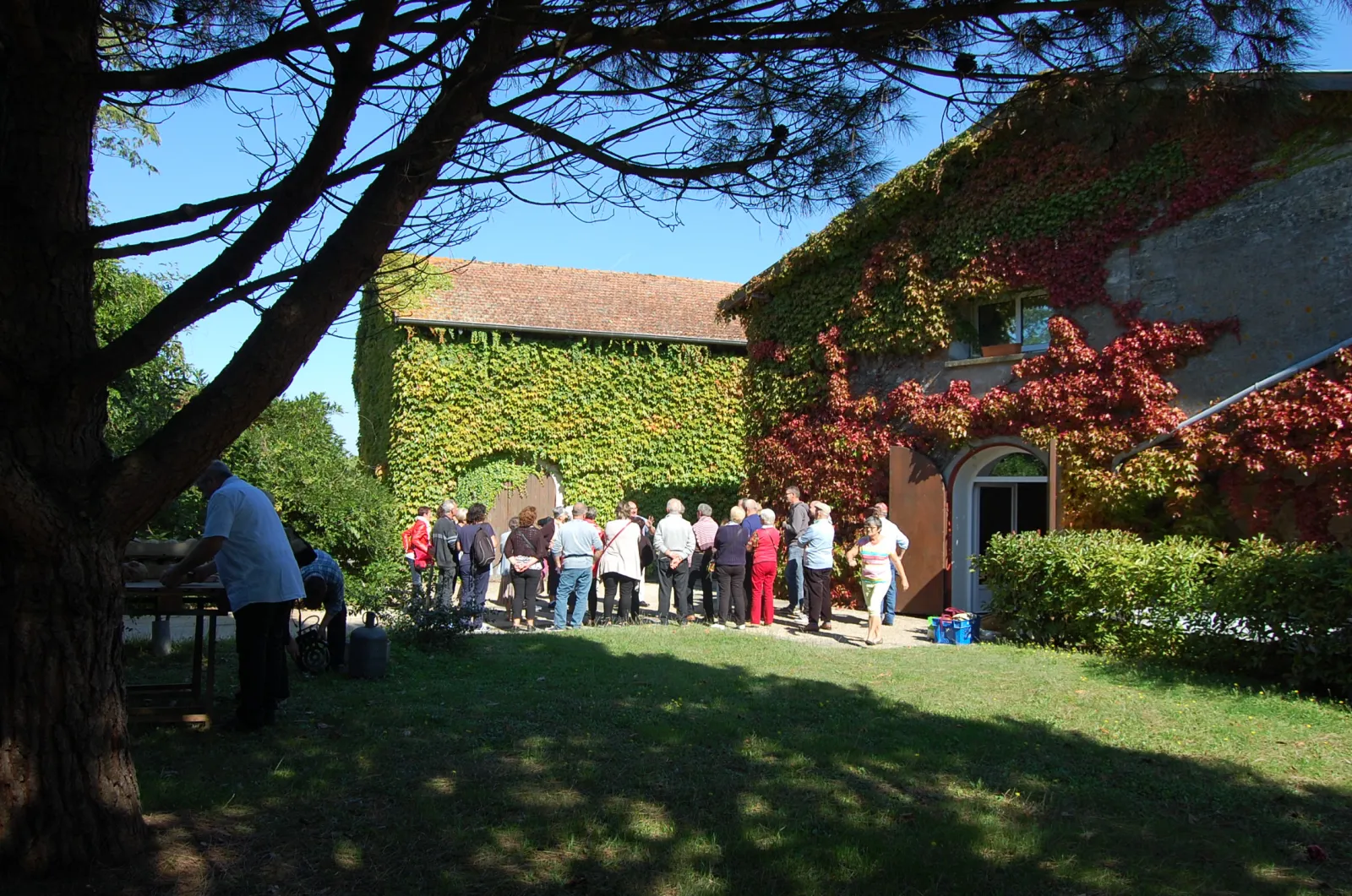 Group of visitors gathered in the courtyard of Château Pichon Bellevue in Bordeaux, surrounded by vines and red ivy in autumn, under a large tree.