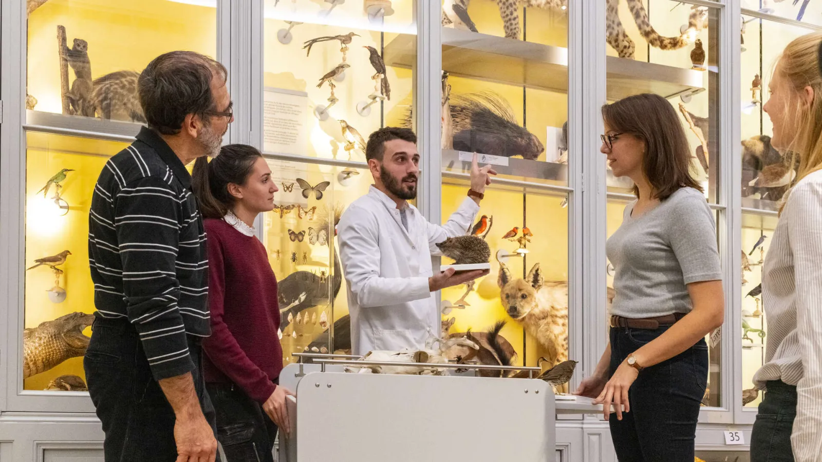 A museum educator at the Bordeaux Museum explains taxidermied specimens to a group of visitors in front of a display case containing birds, insects, and mammals with a yellow background.
