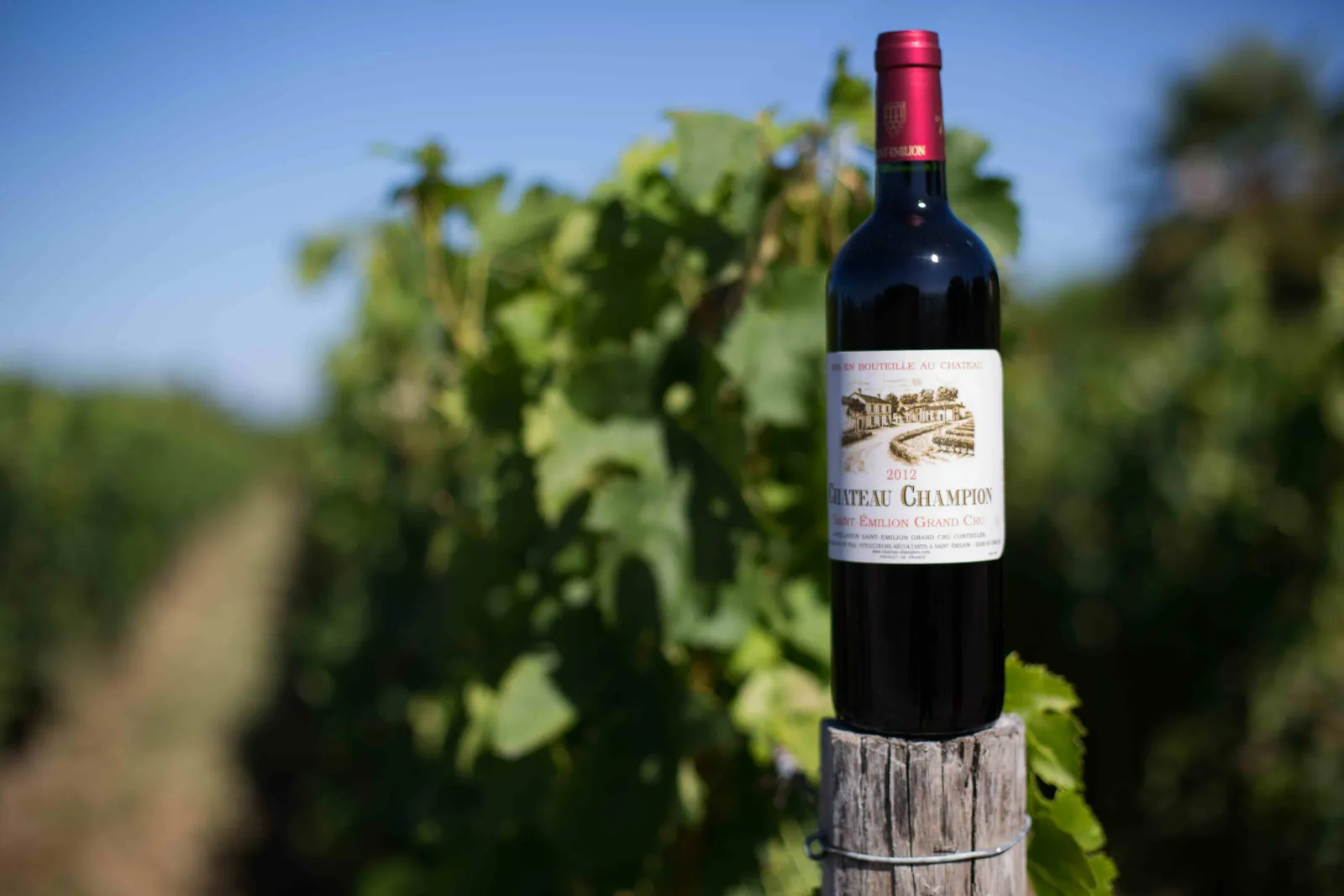 Bottle of Château Champion 2012 red wine, Saint-Émilion Grand Cru, placed on a vineyard post with vineyards in the background near Bordeaux.