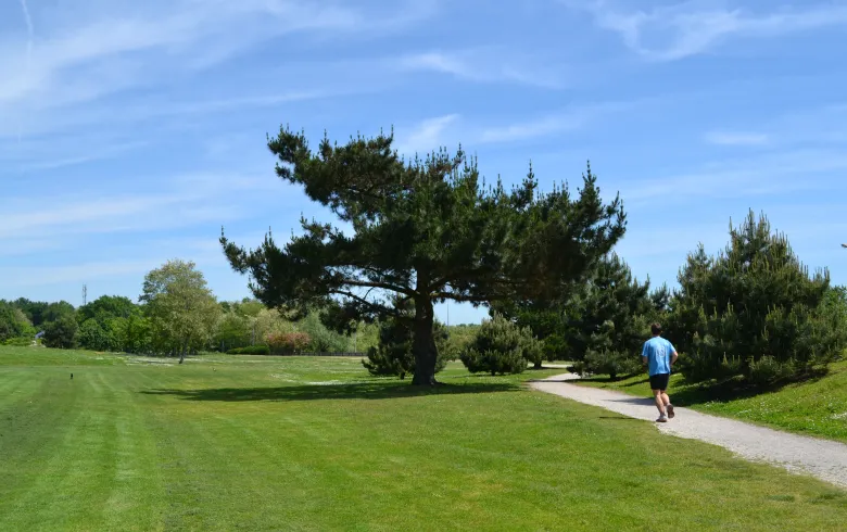 A jogger in a blue shirt runs on a paved path through a lush green park with tall pine trees and a majestic tree in the center, under a partly cloudy blue sky.