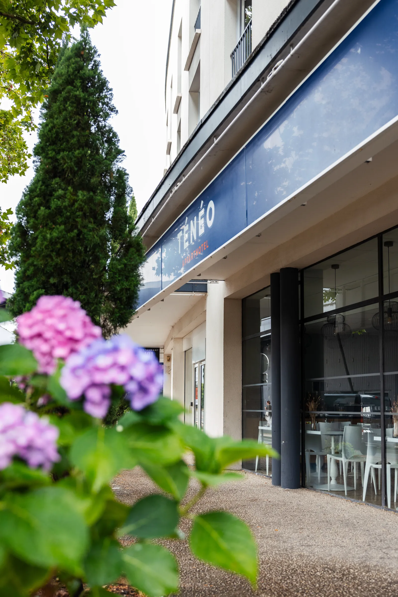 Modern storefront of Ténéo Apparthotel Talence Centre in Bordeaux featuring glass windows, pink flowers, climbing ivy and blue sky